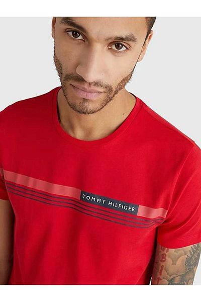Tommy Hilfiger Men's 1985 Polo Organic Cotton Regular Fit T-Shirt