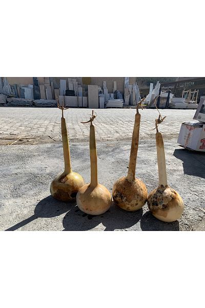 Tunca Gourd Dried Long Stem Gourd Suitable for Making Kemane