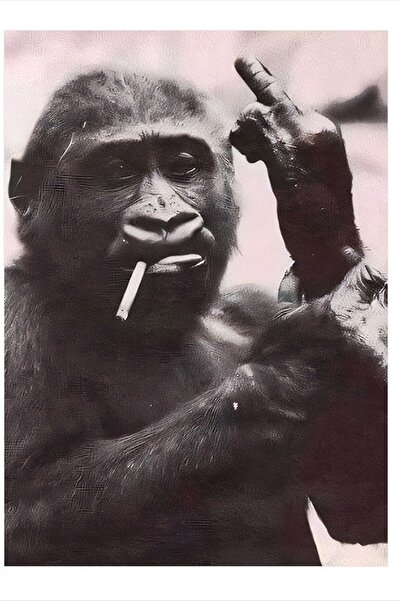 karizmart El Hareketi Yapan Sevimli Maymun Dekoratif ahşap Tablo 18cm X 27cm