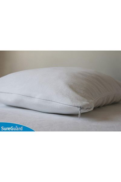 erorex Set Of 2 Queen Size Pillow 100 Percent Waterproof Bed Bug Proof Hypoallergenic Premium Zippered