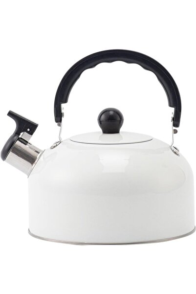 erorex غلاية حثية محمولة، سخان مياه شتوي، غلاية، إبريق شاي معدني، فولاذ مقاوم للصدأ