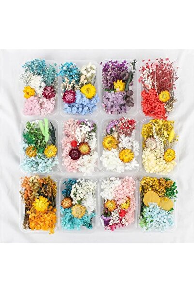 erorex Real Dried Flower Dry Plants For Aromatherapy Candle Necklace Jewelry Making Craft Diy Accessories