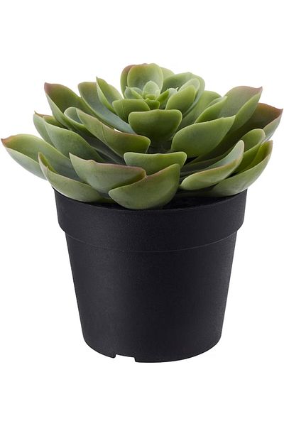 erorex Artificial Potted Succulent Plant 9 Cm Indoor Outdoor