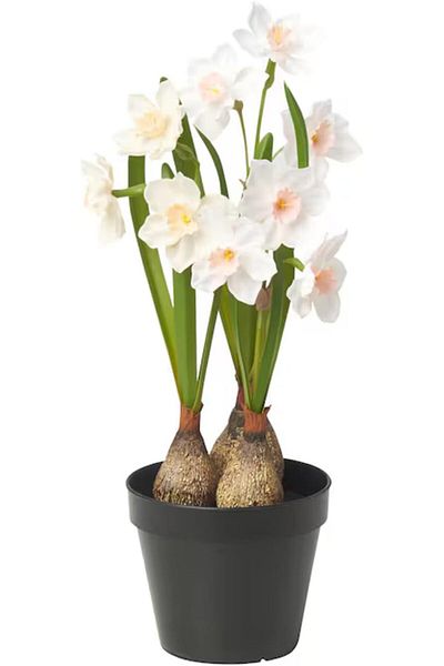 erorex Artificial Potted Plant Daffodil White 12 Cm