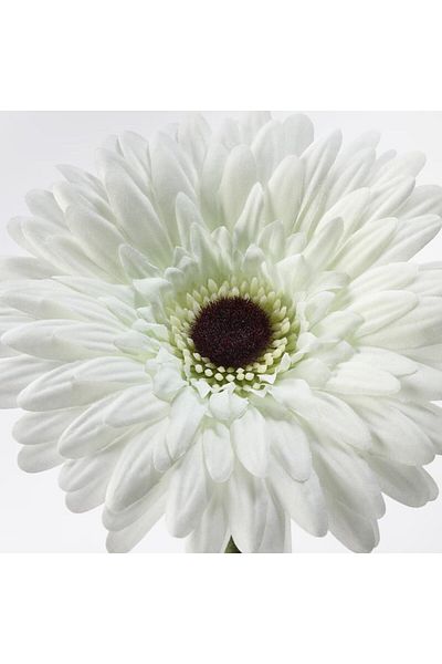 erorex Artificial Gerbera Flower White 50 Cm