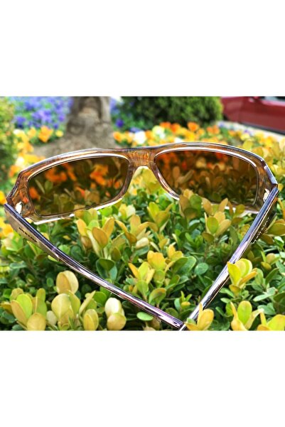 DUNLOP Sunglasses Du466 C2