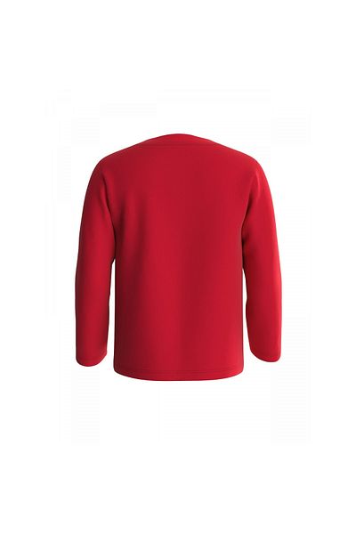Guess Ls T-Shirt_Core - Comfort T-Shirt