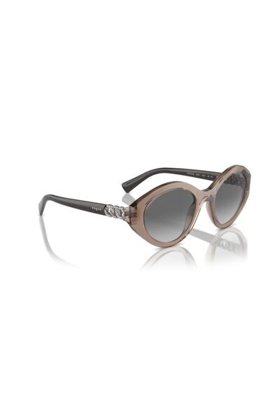 Vogue Sunglasses Vo5576Sb 52 294011