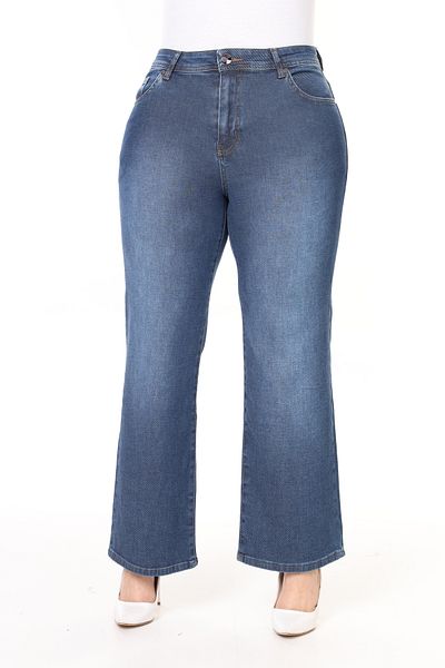 Era Lisa Regular Fit Straight Leg High Waist Women's Plus Size Light Blue Jeans