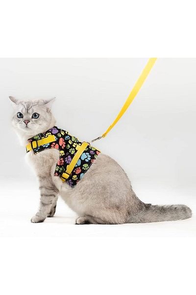 Take and Happy مقود مشي للقطط مضاد للهروب من باتيباترون ومقود مشي للكلاب من السلالات الصغيرة (S، YELLOW PAW)