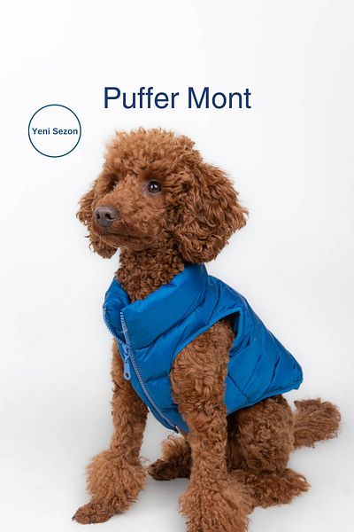 salya store Dog Clothing, Puffer Waterproof Dog Coat, Small and Medium Breed Dog Suit