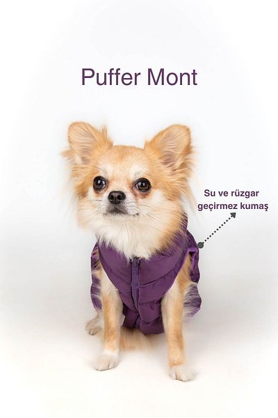 salya store Dog Clothing, Puffer Waterproof Dog Coat, Small and Medium Breed Dog Suit