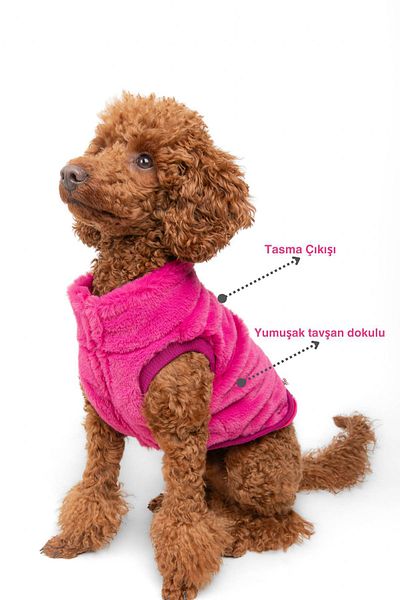 salya store Dog Outfit -Rabbit Dog Jacket with Zipper