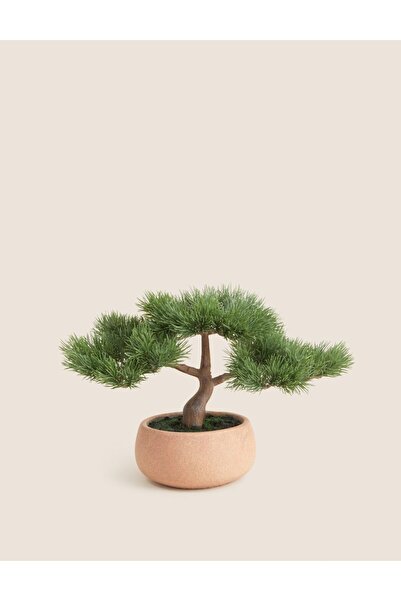 Marks & Spencer Dekoratif Yapay Bonsai Bitkisi