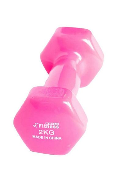Fitness World Gym Dumbbell 2kg