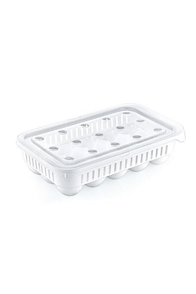 andela 15 Egg Storage Containers (5057)