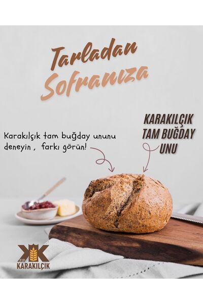 KARA KILÇIK ADANA Doğal Karakılçık Tam Buğday Unu Ata Tohumu 5 Kg