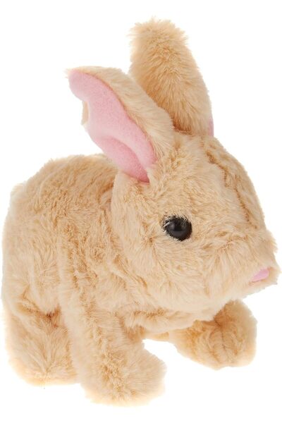 Toys أرنب القفز، كلاب البج أثناء اللعب، سانت باب 11، نادي القفز