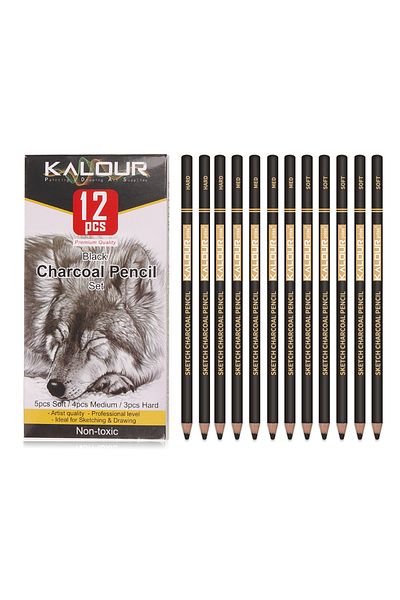 Choice 12Pcs Black KALOUR 6/12 Carbon Pencil Professional White Charcoal Highlight Pencil White/Black/Colou