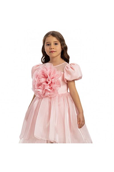 Pamina Pink Rose Detailed Girl's Dress Model 35109
