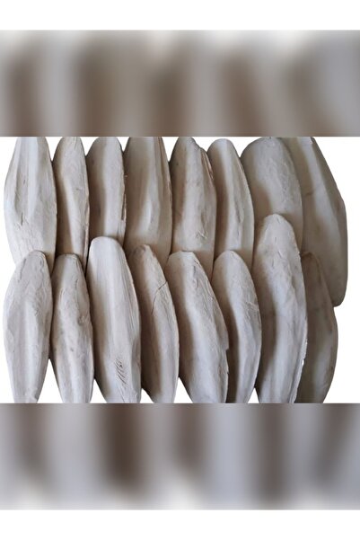 jolly pet Ithal Kalamar Kemiği 20-25cm Mürekkep Balığı Kemiği