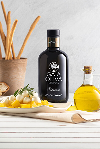 Gaia Oliva Yüksek Polifenollü Premium Ayvalık 500 ml Erken Hasat Natürel Sızma Zeytinyağı (Yeni Hasat)
