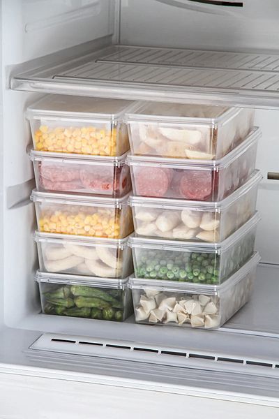 polivera 2 Liter Icebox Storage Box with Lid - Durable and Practical Freezer Organizer Set 10 Pieces