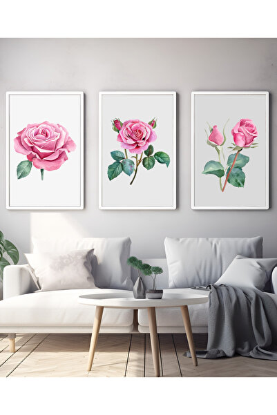 Hiras Dizayn Set de 3 postere Trandafiri roz Flori Decorativ pentru camera de...
