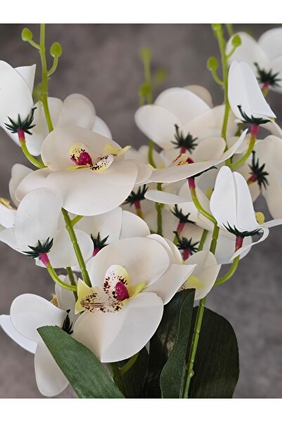 beyaz ve pembe orkide buketi