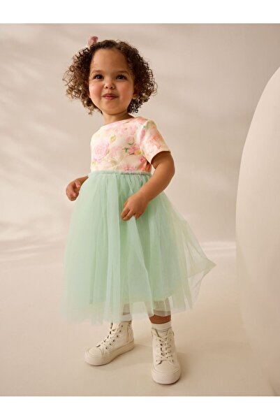 Next Baby Cotton Sage Green Floral Short Sleeve Tulle Dress