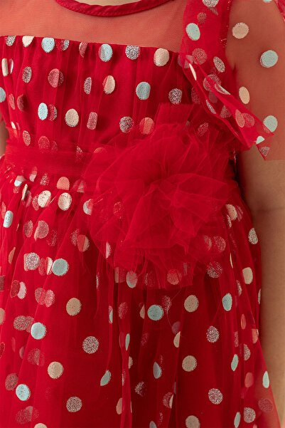 Eray Kids Kız Çocuk Abiye Elbise Simli Puantiye Desenli Tül Kollu 2-5 Yaş