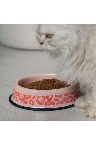 EMAYlab Enameled Cat Dog Food and Water Bowl Savage Pink