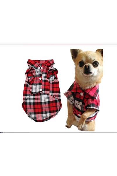 HelloBeautiful Çıtçıtlı Ekose Kedi Köpek Gömleği Küçük Irk