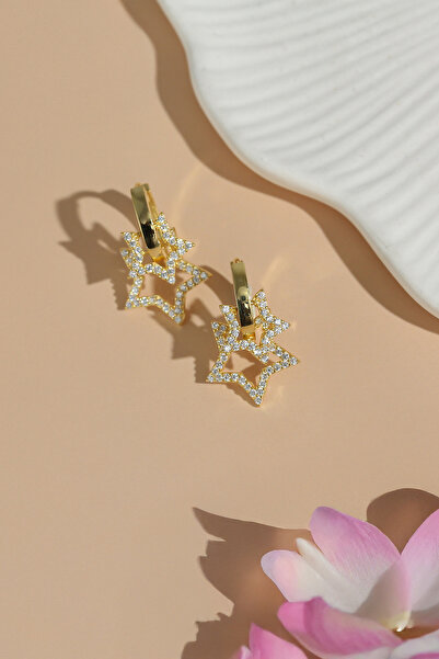 Gümüş Vadisi Kadın 925 Ayar Gümüş Altın kaplama Zirkon Taşlı Yıldız Küpe