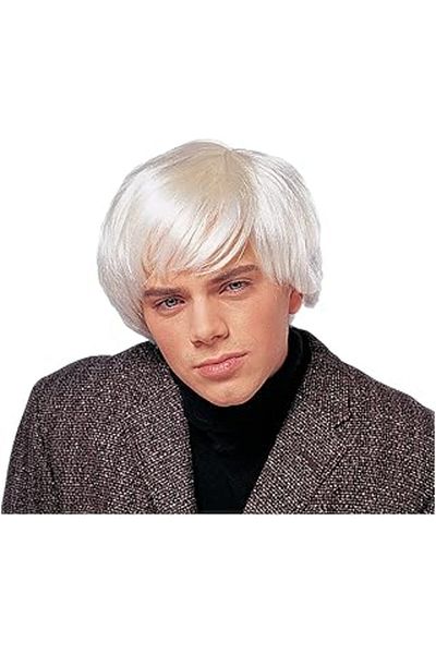 Mu Art Costume Culture Men's Artist Wig, Platinum, One Size