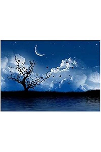 Mu Art Ahşap Artikel Night Notebook Sticker