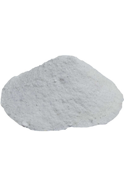 Angel Of Life Salça Domates Turşu Koruyucu Toz Salisilik Asit 100 Gr Paket