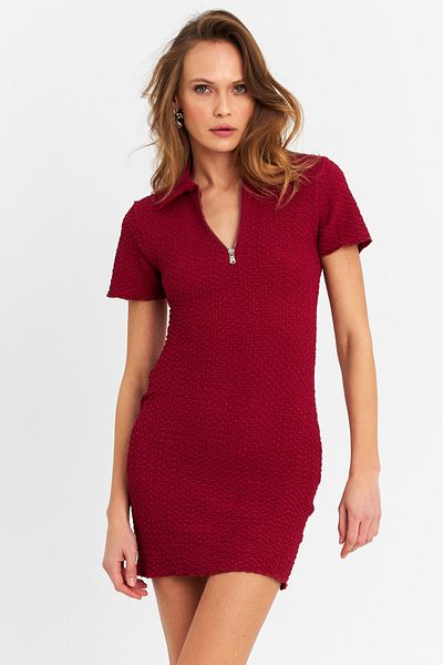Cool & Sexy Women's Burgundy Zippered Mini Dress Mod2441