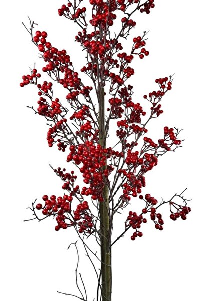 Nettenevime Yapay Ağaç Kokina Ağacı 150CM Doğal Görünümlü 7dallı