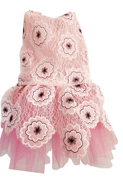 atelyu Cat Dog Suit Pink Floral Wedding Dress Clothes