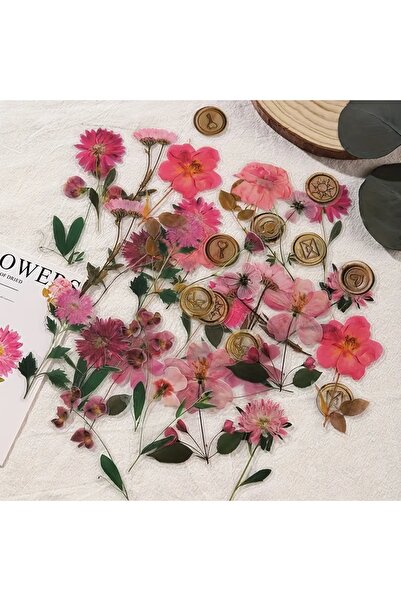 Choice6 H JIANQI 40 pcs Dried Flower Collection Record PET Stickers Decorativ...