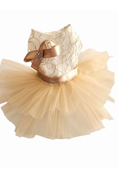 atelyu Cat Dog Suit Bronze Detail Wedding Dress Special Occasion Dress Birthday of the Bride Dress
