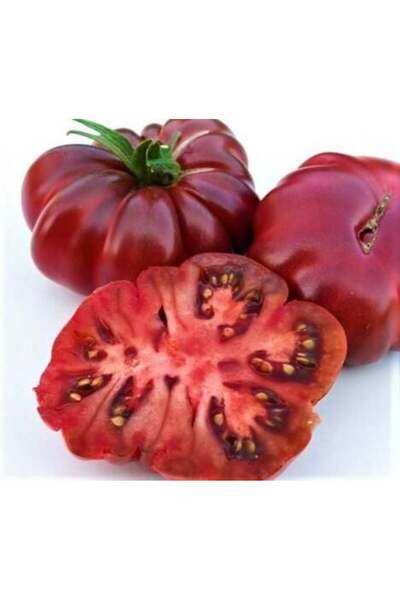 E-fidancim Mor Etli Purple Calabash Domates Tohumu(15 tohum)
