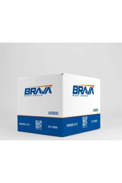 BRAVA RIGHT CHOICE C920 METAL PARÇA PAS KiR TEMİZLEYİCİ 400 ML x 20