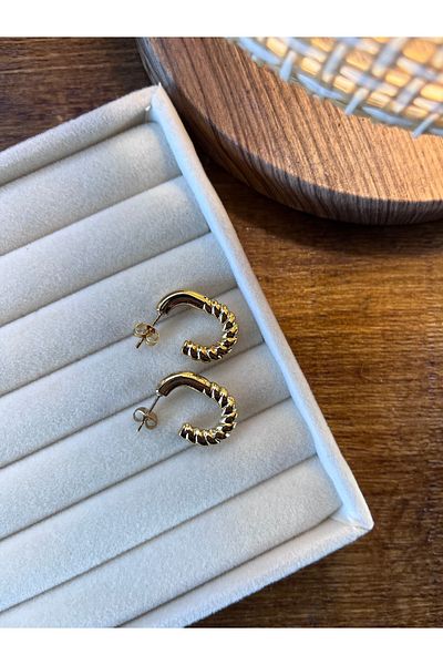 Miltonia Vintage Hook Steel Earrings