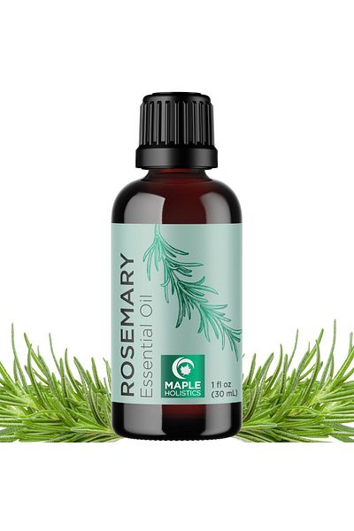Maple Holistics Pure Rosemary Essential Oil for Aromatherapy, Hair, Skin, Nails, Diffusers, Dry Scalp, and Shine