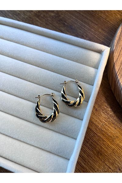 Miltonia Vintage Hook Steel Earrings