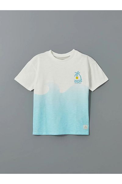 LC Waikiki Lcw Kids Ecru Crew Neck Color Blocked Combed Cotton Baby Boy T-Shirt