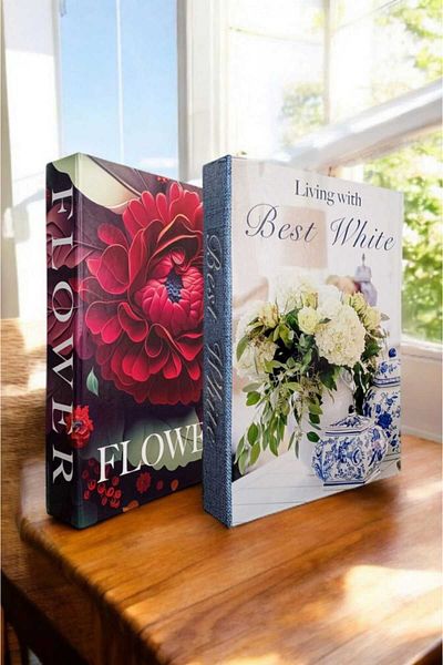 BayCazip Decorative Book Look Box Set of 2 Decorative Book Looking Box