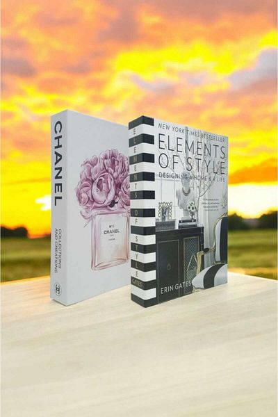 BayCazip Decorative Book Look Box Set of 2 Decorative Book Looking Box